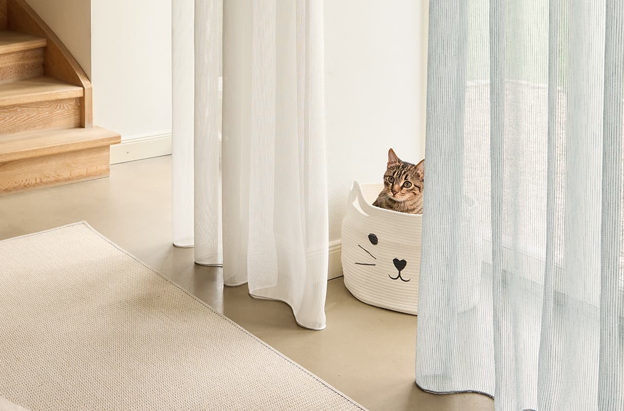 Zwei Funktionsgardinen und eine Katze im Körbchen.